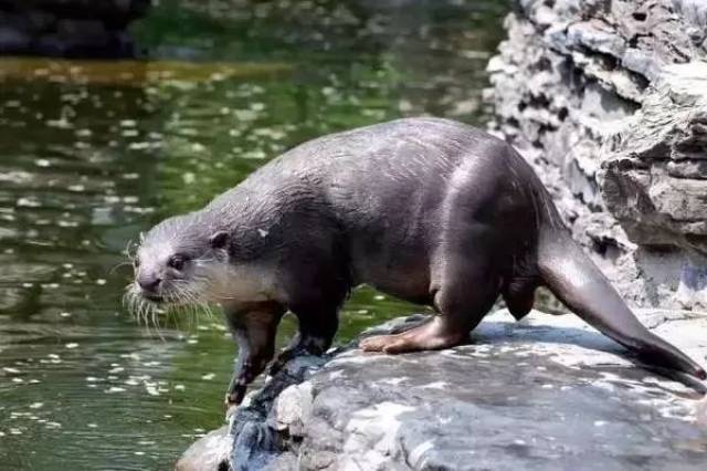 今日雨水,一首好听的闽南歌《雨水》送给你!