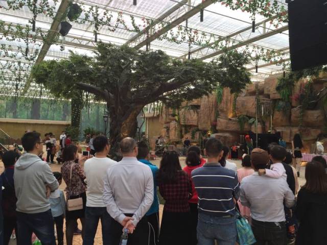 农业梦工厂热带雨林剧场马戏表演深受游客喜爱,看台区高朋满座