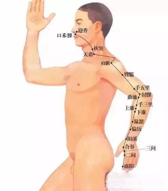 【手法视频】十二经络话术手法