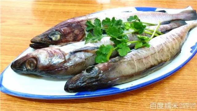 每天认识一种鱼(152)丨黄线狭鳕:"朝鲜国鱼"明太鱼