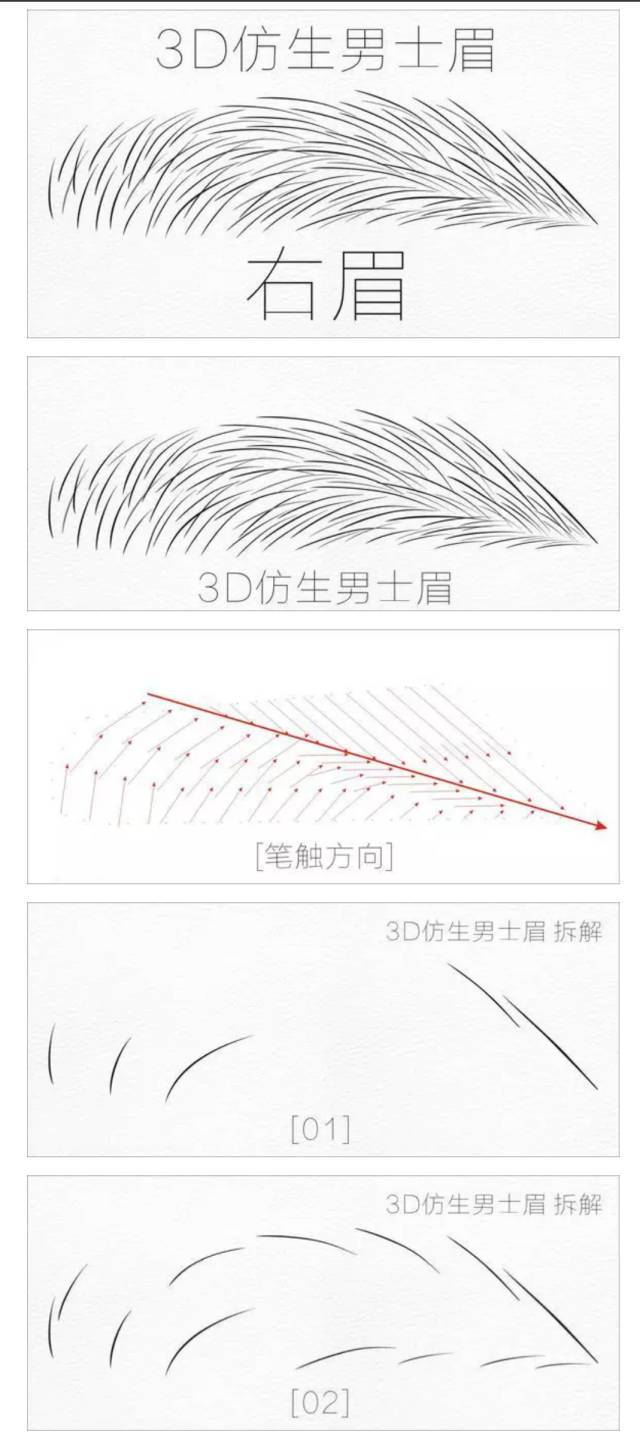 《每天学点做眉技巧》男士眉 线条排列步骤分解图 教你做好男士眉