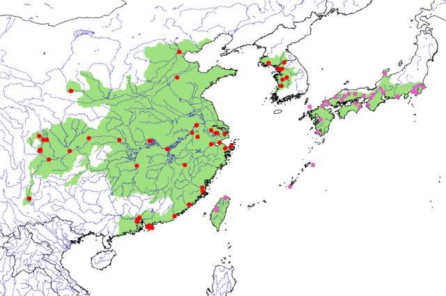 在过去,乌龟在我国的分布 北限可以到达京津冀地区,南限则为广西,云南