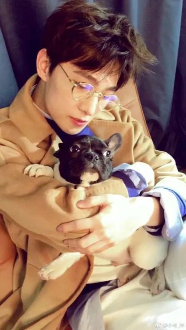 萌萌哒的杨洋和狗狗的截图一组