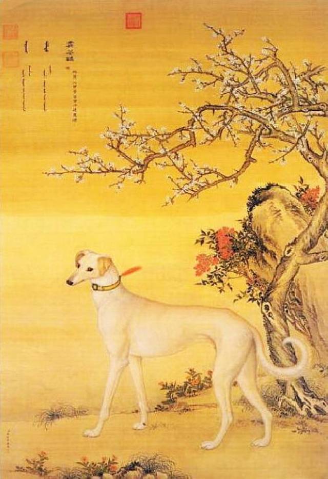 清郎世寧畫十駿犬雪爪盧軸- 故宮