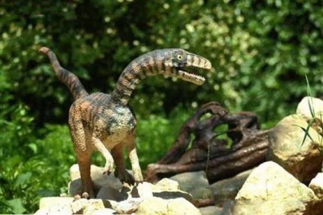 地球上10大最迷人的恐龙,中华鸟龙榜首,剑龙第七,始祖鸟第八