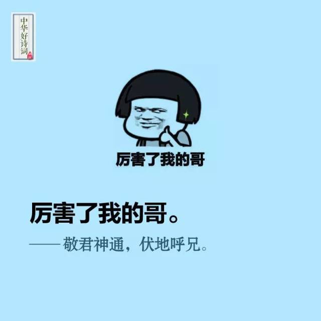 有才!用古诗文翻译网络流行语,笑哭了
