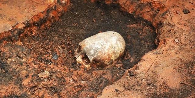 一道极度恐怖的推理题《诡异的头骨》,胆小的