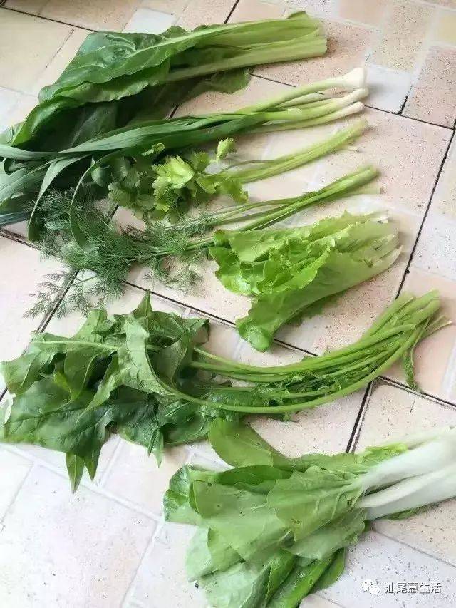 七样菜被大妈编成歌,传统也可以这么时尚!