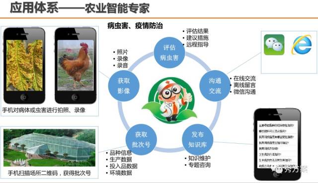 新龙县农牧技术推广：助力乡村振兴的新引擎