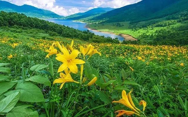 日本S级密境天空之湖---野反湖
