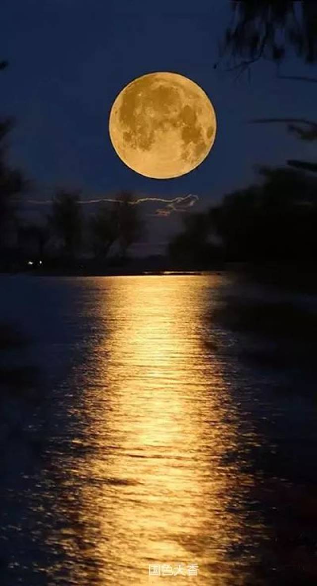 如果月光是一条长长的河