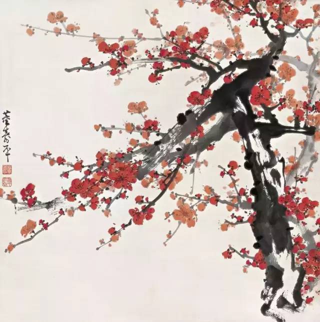 董寿平讲解示范画梅花，漂亮！_搜狐网