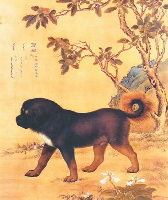 台北故宫南院开特展《十骏犬》助兴戊戌新春_搜狐网