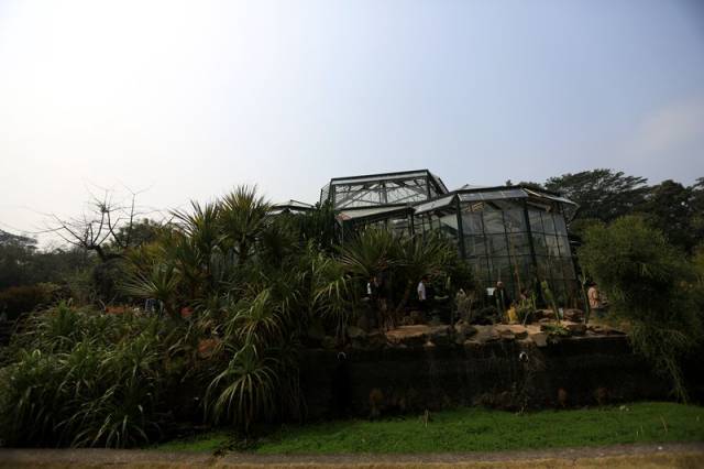 戊戌廣州過大年之一華南植物園