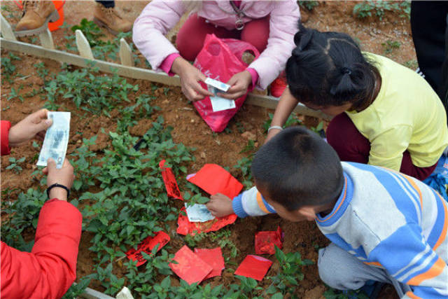 广东熊孩子将红包种土里想长出更多红包,所幸家长及时发现钱没有变成