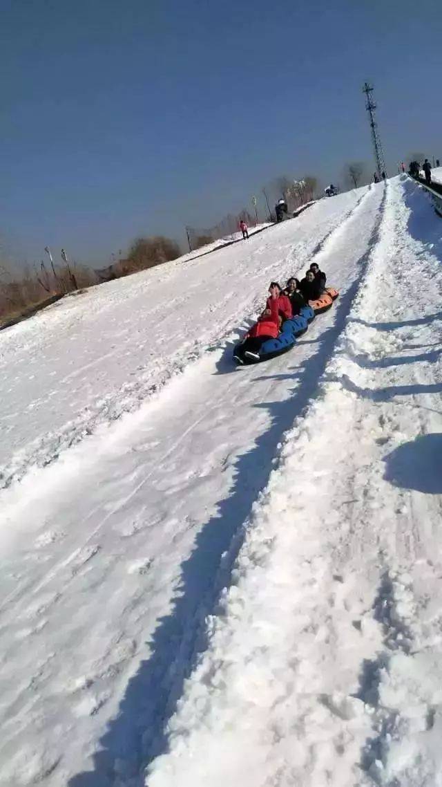 龙居桃花岛滑雪场图片