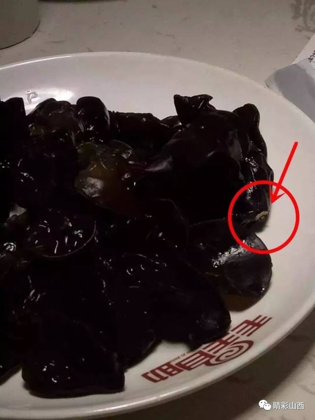 山西临汾:毛毛自助涮烤菜里竟然有虫子,你们怎么看?