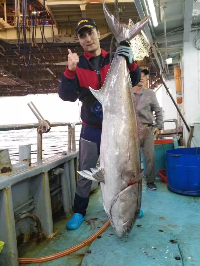 南海油田有金枪,图片来自观海听涛