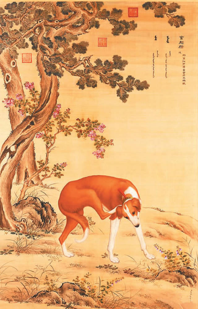 台北故宫南院开特展《十骏犬》助兴戊戌新春_搜狐网