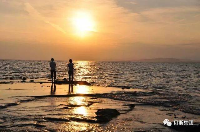 日本贝斯|赴日软件工程师,项目管理等职位火热