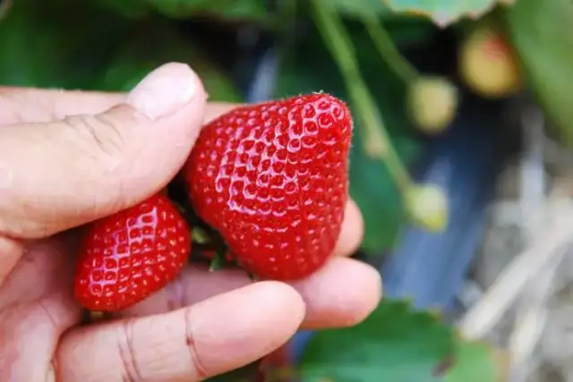 我宣布:2018,随州将是全国最好玩的地方!