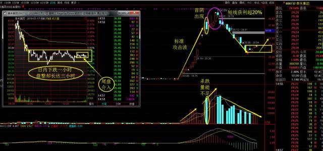 【股民学校】龙头股首阴反包战法_手机搜狐网