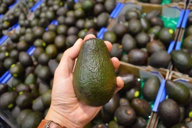 牛油果种植户和研究人员希望大家在超市挑熟了的牛油果时,别再捏来捏