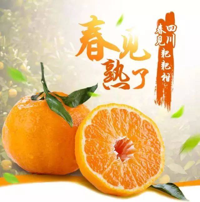 春见耙耙柑3斤29.9,陵水千禧小番茄2斤19.9!