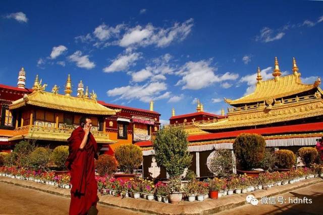 西藏政府补贴,门票免费现在只需1880元/人,拉萨,布达拉宫,大昭寺,林芝
