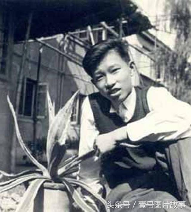 傅敏是傅家二儿子,这张是1953年在家中拍摄的.