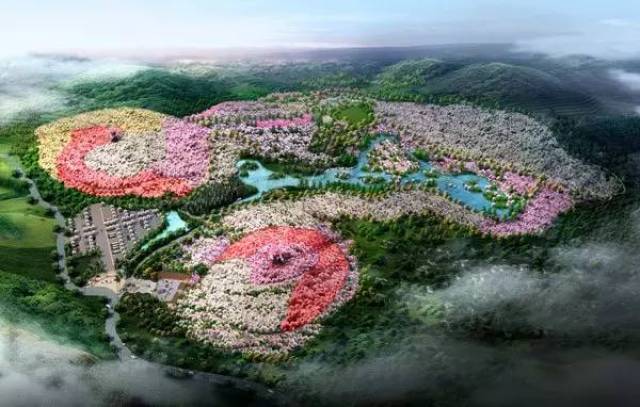 58元玩转全国最大最美樱花园!就在增城附近!