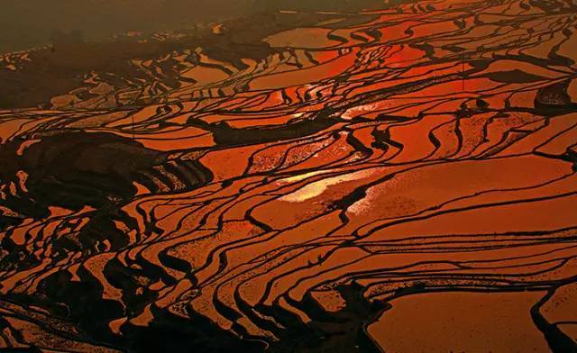 哈尼梯田——雕琢千年的大地之畫_手機搜狐網