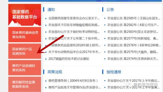执业兽医考试报名：开启动物健康的守护之旅