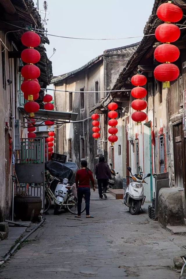 住在曾经繁华的新兴街里的一只猫,淡定地看着往来的游人.