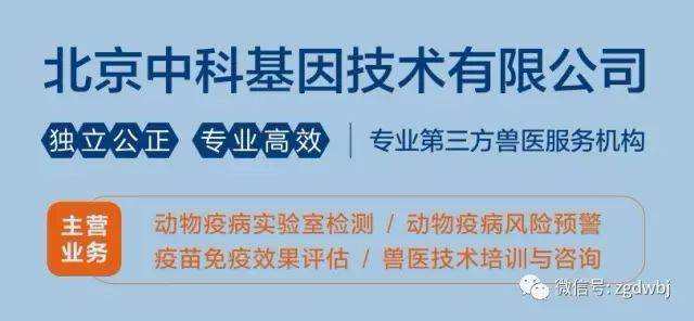科技与健康的交响：中科康爱引领健康管理新时代