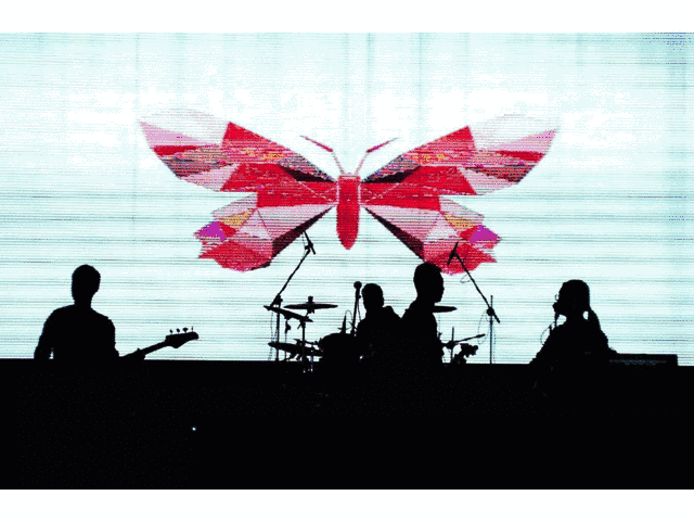 滋生 如同他们带给大家的音乐 独树一帜 又让你久久回味 04# 门虫乐队