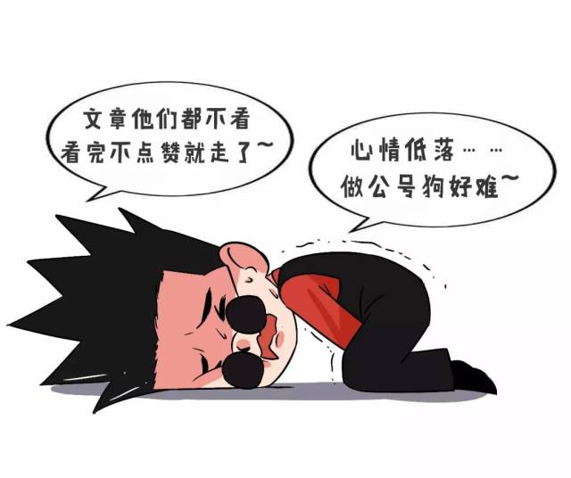 搜狐网