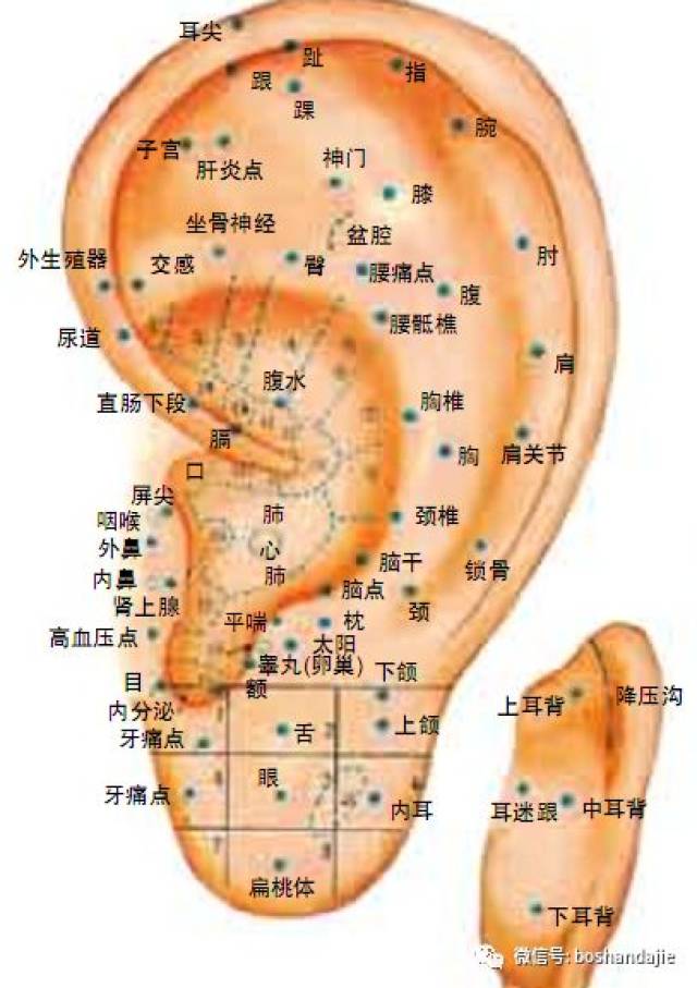 耳穴治疗失眠处方，效果超级好！_搜狐网