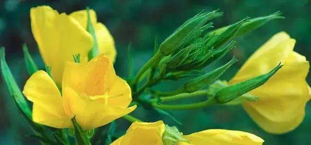 现在丰胸原来如此简单!每天只要3分钟就能涨