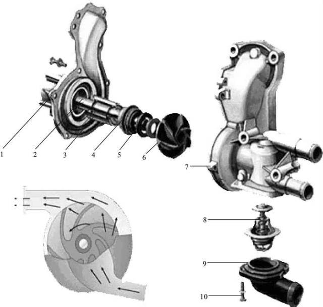 发动机水泵的结构图片