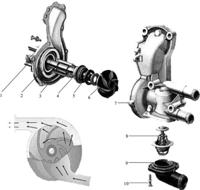 发动机水泵工作原理图片