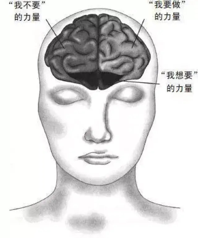 如何锻炼意志力?