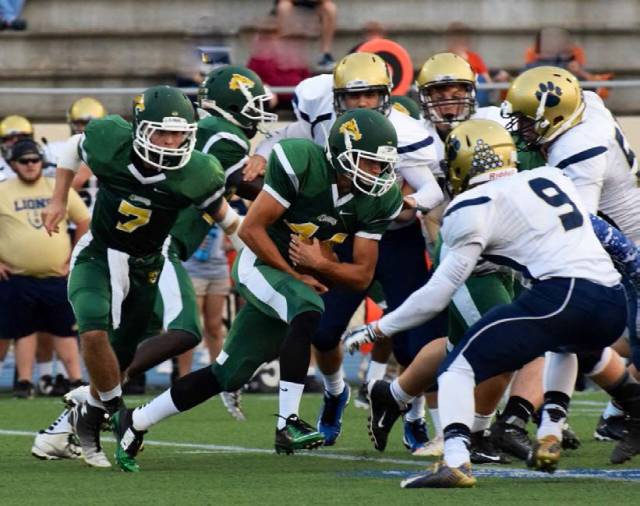 越野赛,排球,橄榄球,啦啦队,射箭,篮球,啦啦队,游泳,高尔夫,英式足球