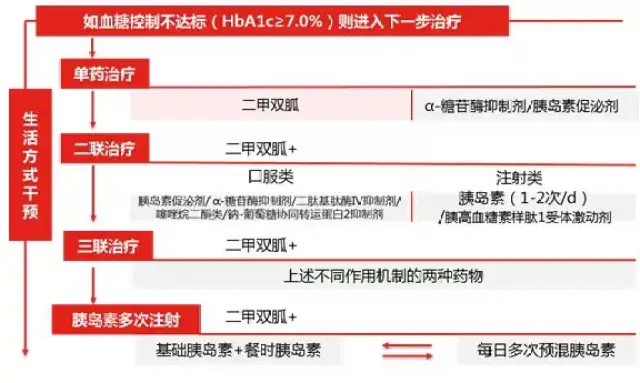 重磅:2017《中国2型糖尿病防治指南》终于来了