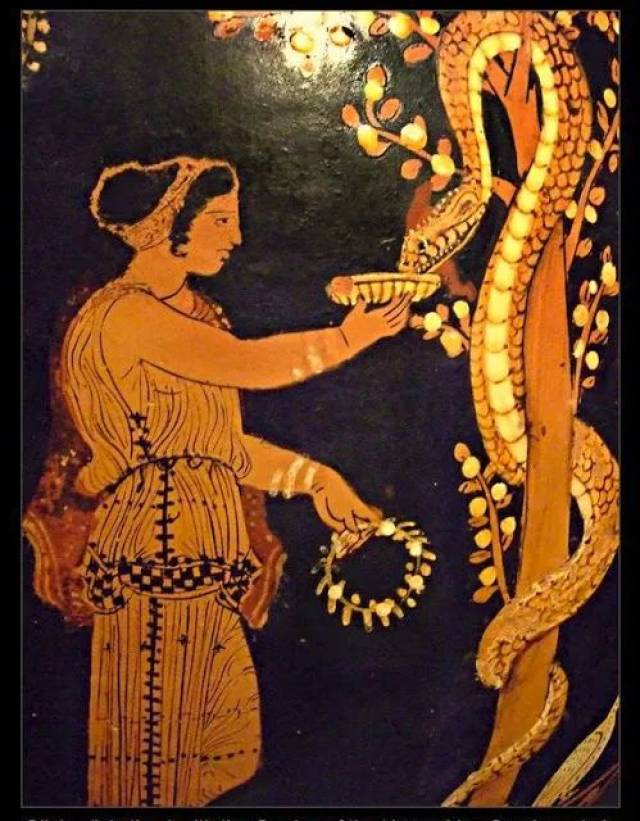 希腊神话中看守金苹果的百头巨龙拉冬(dragon ladon),形象仿佛蟒蛇.