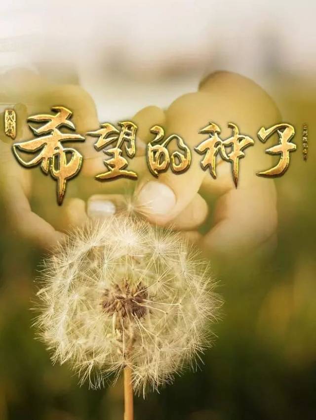 這是希望的種子,讓人感慨萬千!