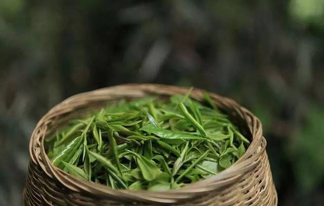 驚蟄,春醒處,萬物心動