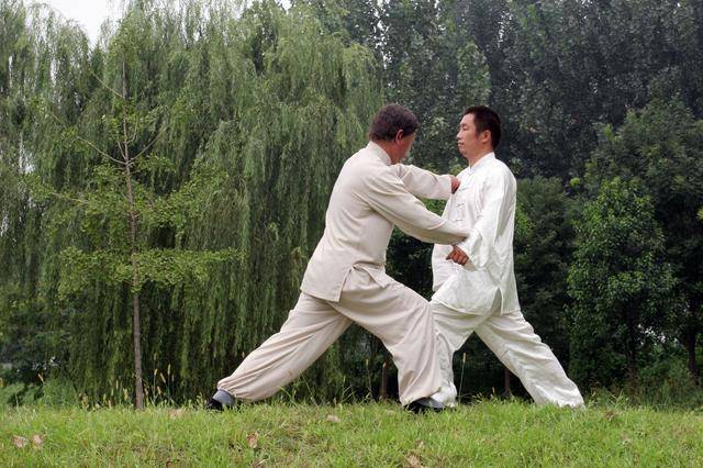 点穴先练劲,什么是两仪拳十二大劲?