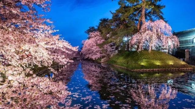 2018年第四回櫻花開花預測,全日本最美的櫻花一網打盡!