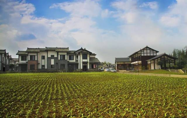 蔬香蒙阳优雅小城的幸福时光